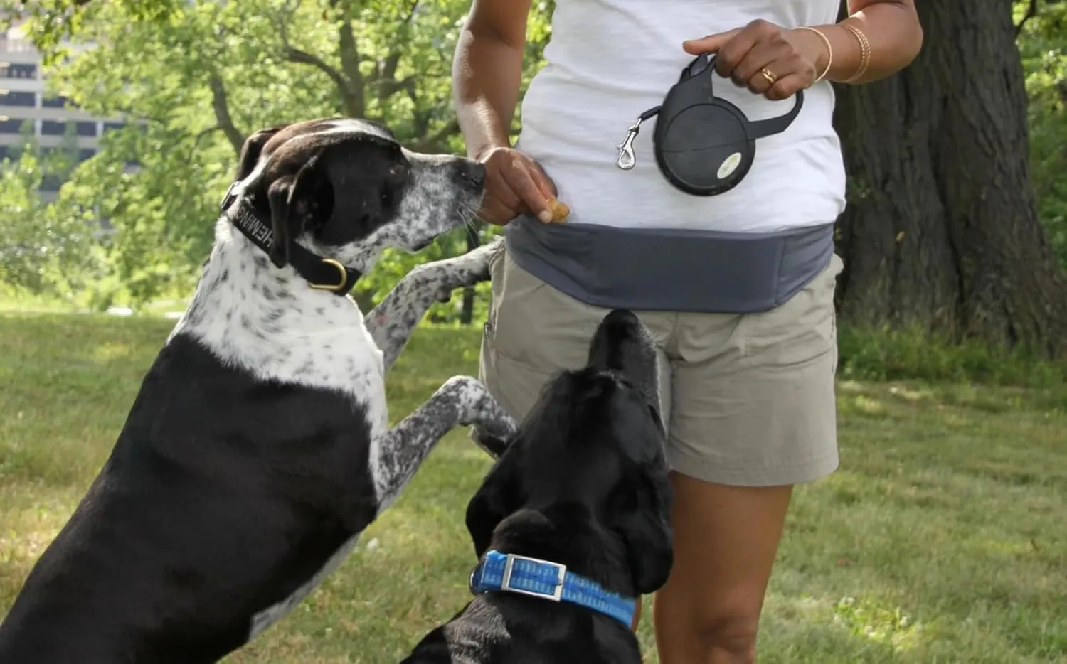 BANDI Running Belt for Women – Waist Fanny Pack Hands Free Way to Carry Phone, Passport, Keys, ID, Money & Everyday Essentials Made in the USA