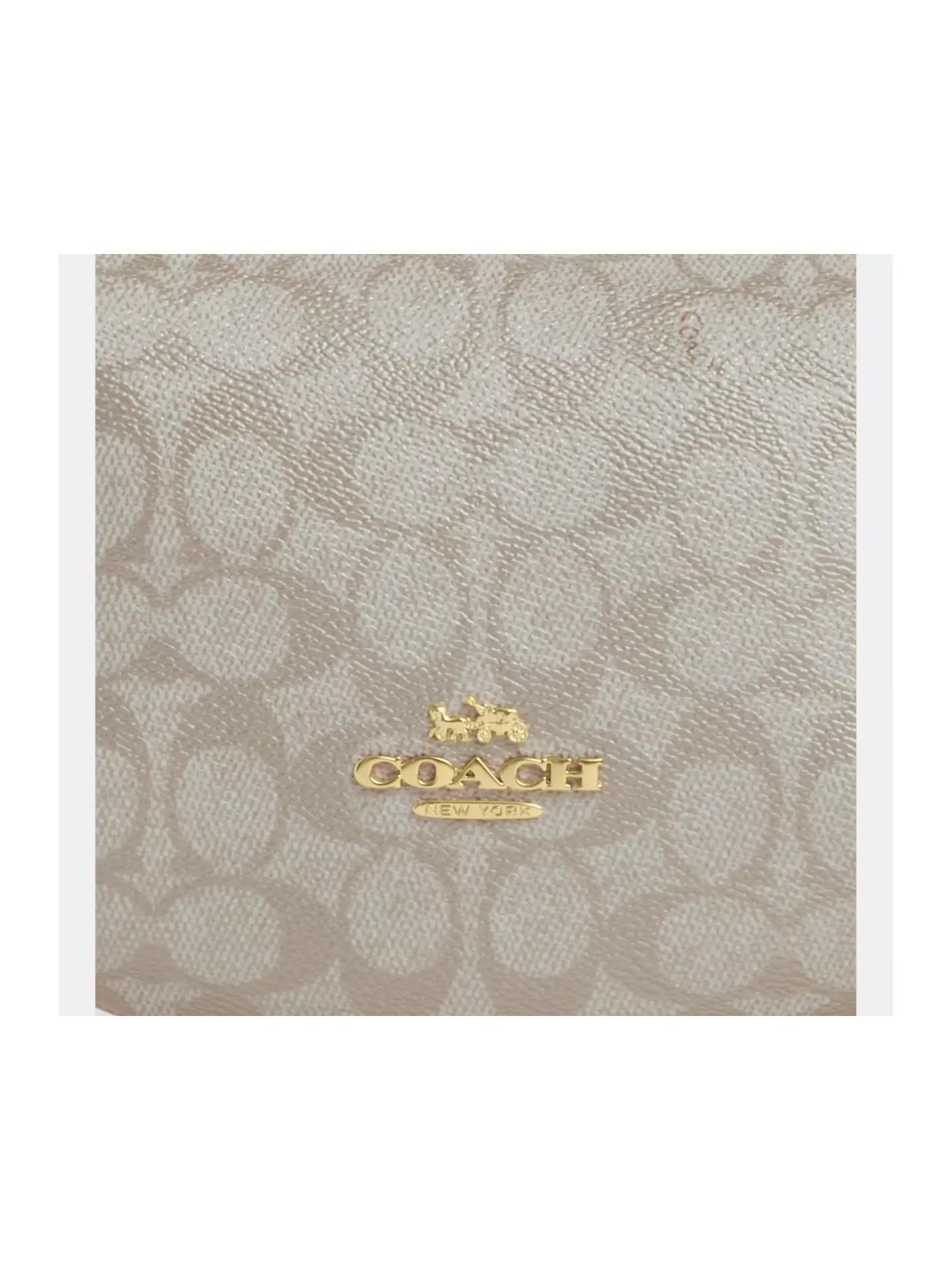 Coach Payton Hobo In Signature Metallic Canvas Champagne Multi