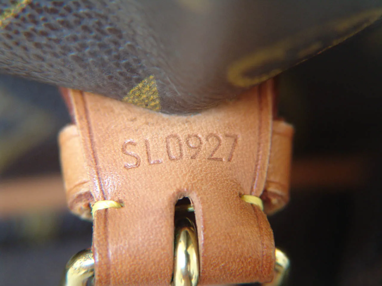 Louis Vuitton Monogram Sac Gibecière GM