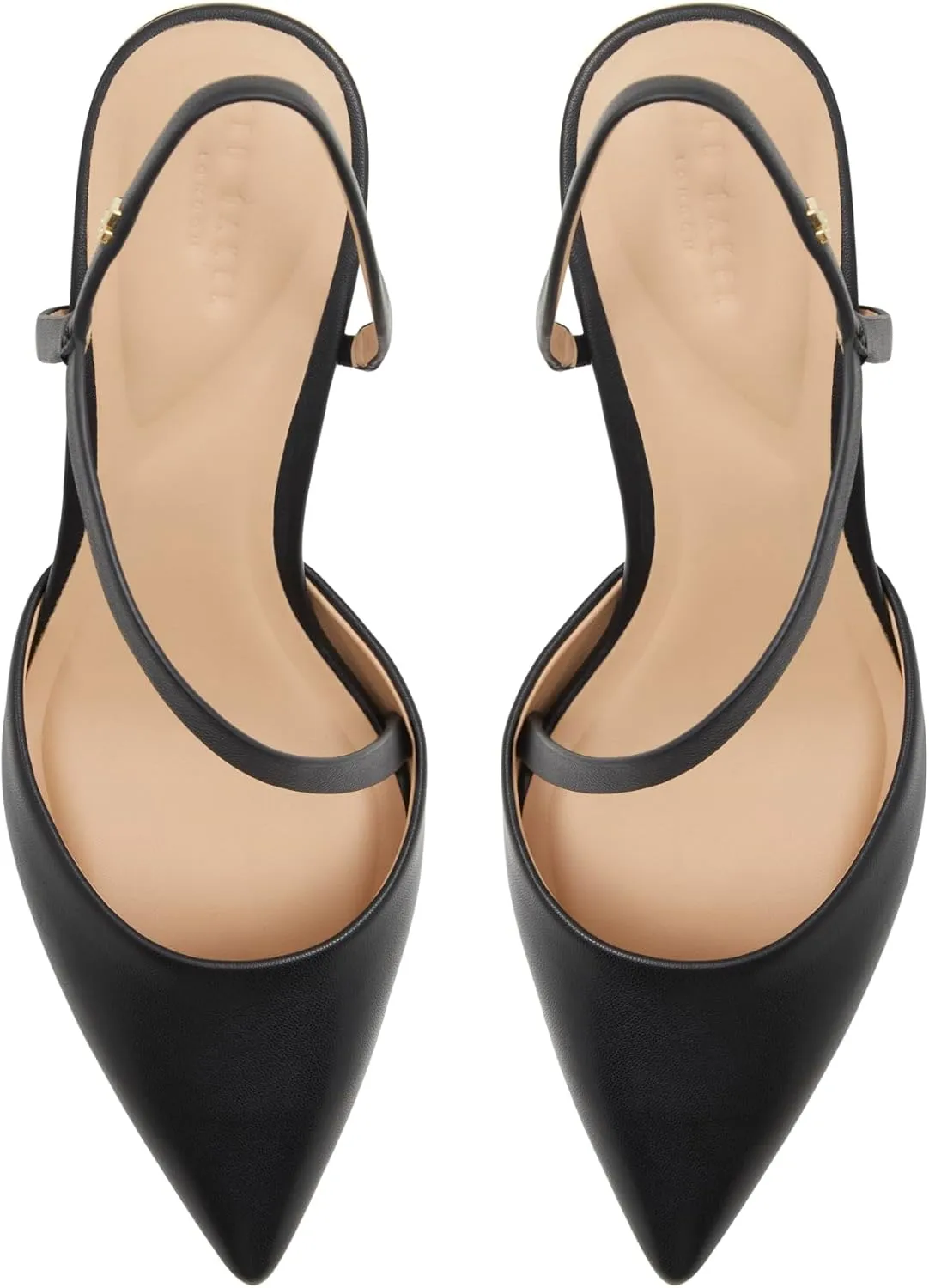 Ted Baker Women's Pia Pump